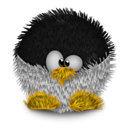 Penguin pingouin pinguino 864